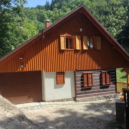 Chata Hokejka Rokytnice nad Jizerou Exteriér fotografie