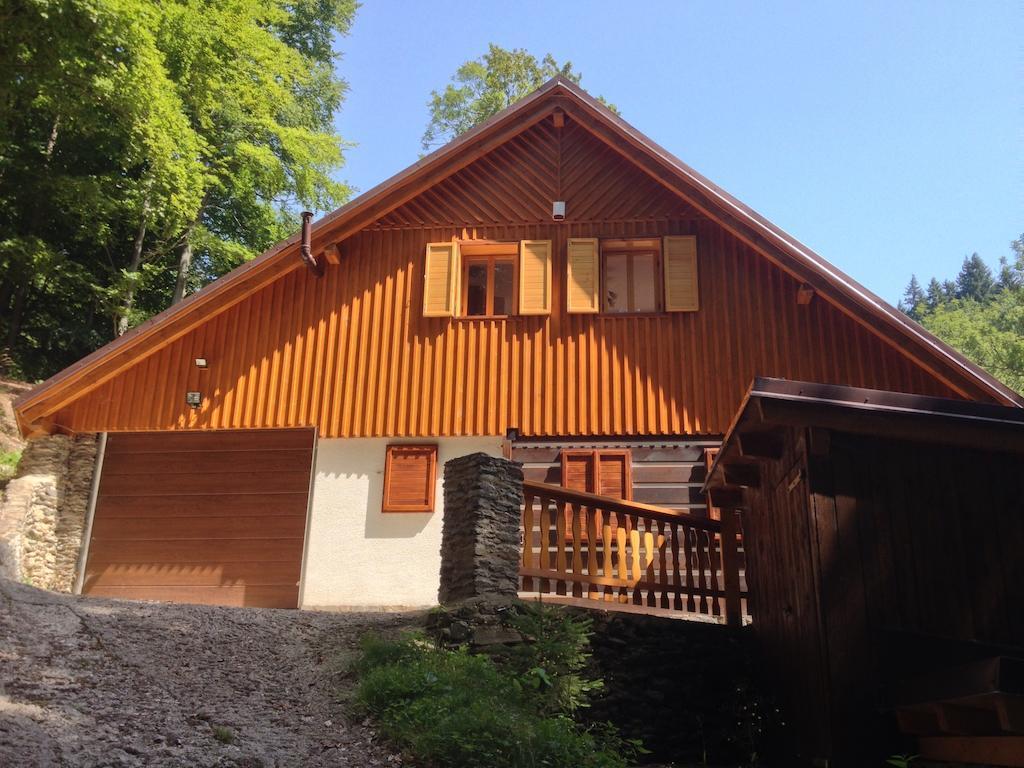 Chata Hokejka Rokytnice nad Jizerou Exteriér fotografie